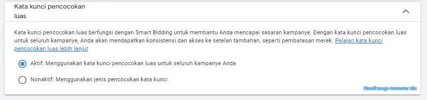 Google Ads Campaign 9