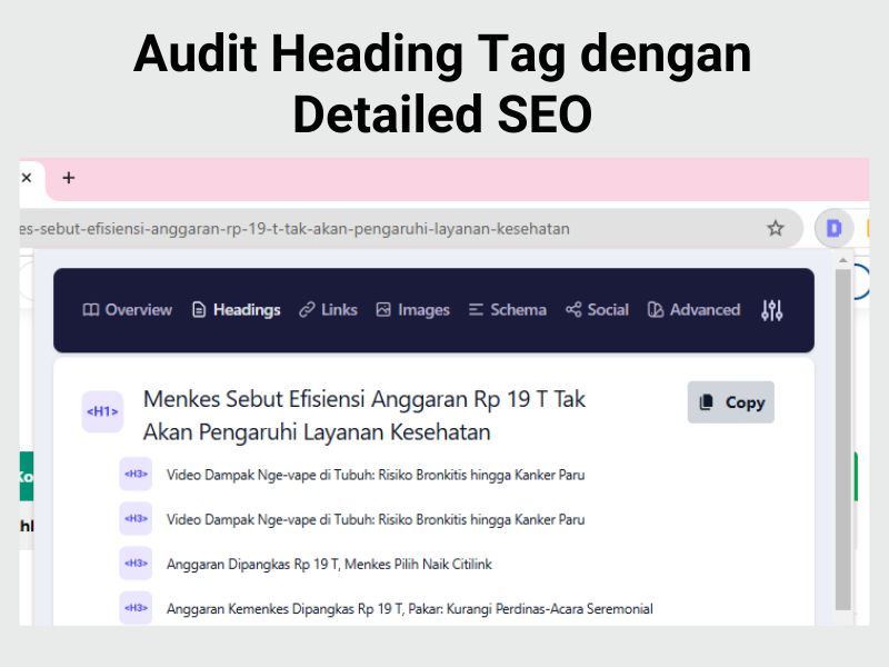 Audit Heading Tag Dengan Detailed Seo