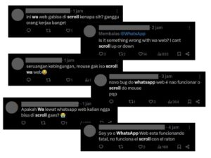 Whatsapp scroll error
